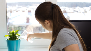 Oh god, there may actually be reason to give your houseplants fizzy water<em></em>